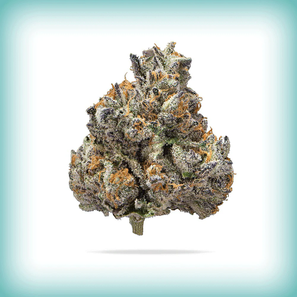 Bulk THCa Flower — Premium Hemp Flower at Wholesale Prices